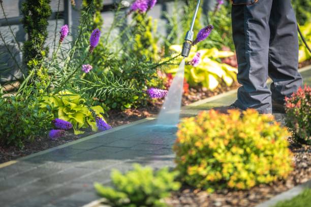 Best Animal Enclosure Cleaning  in Olathe, KS