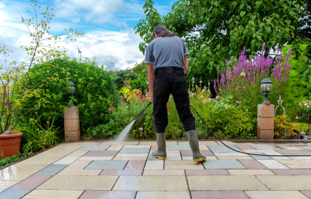 Best Driveway Pressure Washing  in Olathe, KS