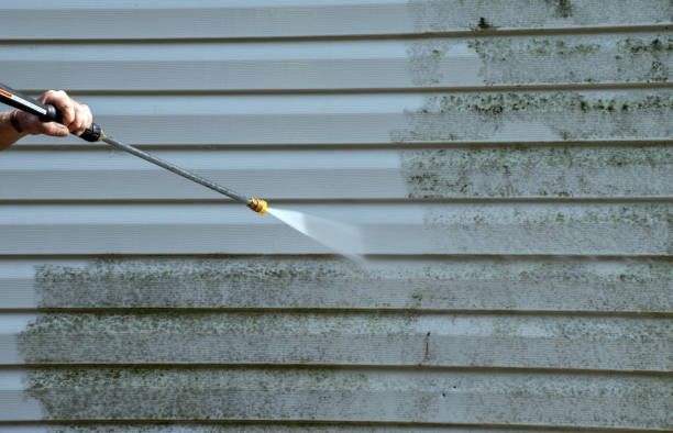 Best Fence Cleaning  in Olathe, KS